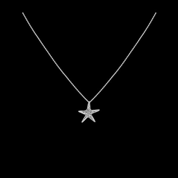 Necklace "Sea star".
