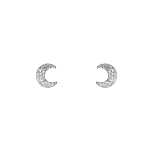 Moon Earrings in Silver