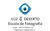 Cursos,Aulas;Formações;Explicações;Presenciais online
