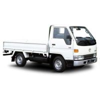 Modelo 100/Ly100L de 05/1995 a 08/2001 (2L)