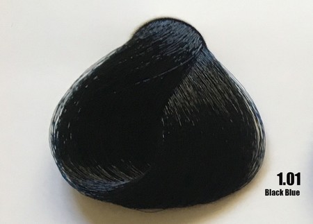 Raywell Tinta Sem Amonia 1.01 Preto Azulado 100ml