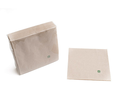 Napkins Paper 2 layers 40x40cm ECO - pack 50 units